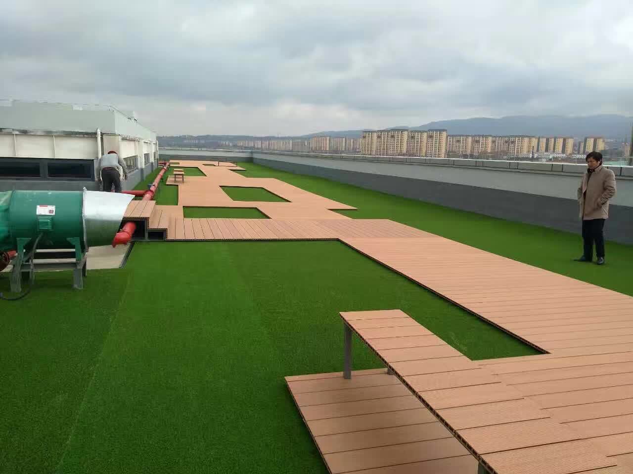 机场保税区人造草坪案例